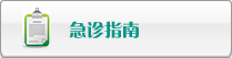 换操女人屄